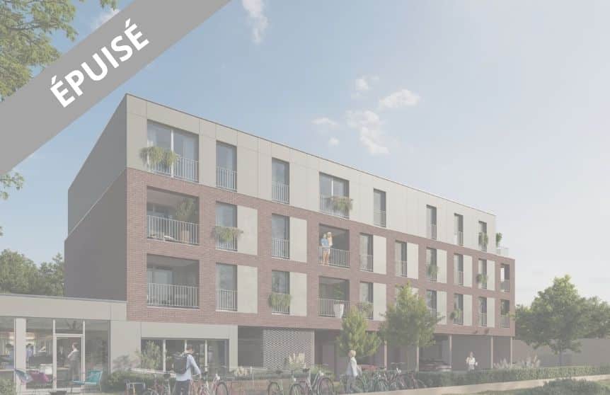 Programme immobilier neuf Lomme - rue Lamartine